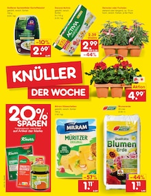 Kartoffelsalat im Netto Marken-Discount Prospekt "Aktuelle Angebote" mit 69 Seiten (Berlin)
