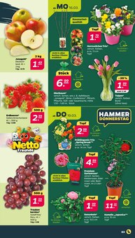 Tulpen im Netto mit dem Scottie Prospekt "Günstig. Besser. Für Dich." mit 41 Seiten (Potsdam)