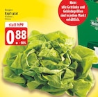 Kopfsalat Angebote bei EDEKA Dülmen für 0,88 €