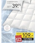 Aktuelle Bettdecke Angebote bei BRAUN Möbel-Center in Freiburg (Breisgau) Aktuelles Kammerkissen Angebot bei BRAUN Möbel-Center in Freiburg (Breisgau) ab 39,95 €