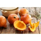 Potimarron dans le catalogue Carrefour Market