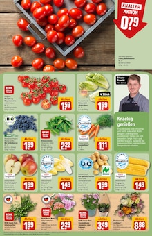 Blumen im REWE Prospekt "Dein Markt" mit 32 Seiten (München)