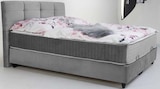 Aktuelles Polsterbett NORIA Angebot bei Trends in Bochum ab 899,00 €