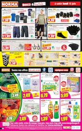 Promos Peinture dans le catalogue "Votre Discounter Régional" de Norma Peinture en promo dans le catalogue Norma à la page 10