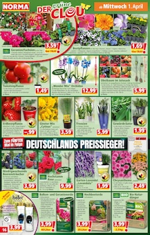 Feuerwerk im Norma Prospekt "Mehr fürs Geld" mit 22 Seiten (Mannheim)