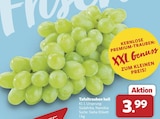 combi Rahden Prospekt mit  im Angebot für 3,99 €