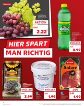 Sonnenblumenkerne im Kaufland Prospekt in Willich Aktueller Kaufland Prospekt mit Sonnenblumenkerne, "Aktuelle Angebote", Seite 2