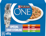 EFFILÉS EN SAUCE CHAT ADULTE STÉRILISÉ POULET BOEUF SAUMON DINDE PURINA ONE - PURINA en promo chez Auchan Hypermarché Poitiers à 3,99 €