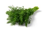 Dill Angebote bei Lidl Paderborn für 1,49 €