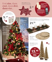 Aktueller buss Prospekt mit Weihnachten, "VORFREUDE das schönste Gefühl", Seite 12
