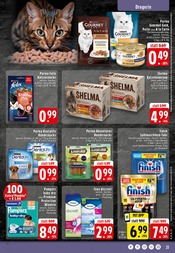 Aktueller EDEKA Prospekt mit Katzenfutter, "Aktuelle Angebote", Seite 21