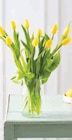 Bouquet de 10 tulipes de glace dans le catalogue U Express