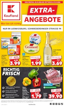 Kaufland Prospekt Fellbach "EXTRA-ANGEBOTE" mit 8 Seiten