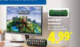Schüleretui im Angebot bei Lidl in Trier Schüleretui Angebote von MINECRAFT bei Lidl Trier für 4,99 €