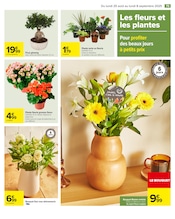 Plantes Angebote im Prospekt "LE COIN DES ENFANTS" von Carrefour auf Seite 77