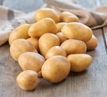 Pommes de terre de consommation blanche CARREFOUR dans le catalogue Carrefour