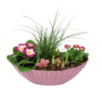 Aktuelles Frühlingsarrangement Angebot bei toom Baumarkt in Ulm ab 15,99 €