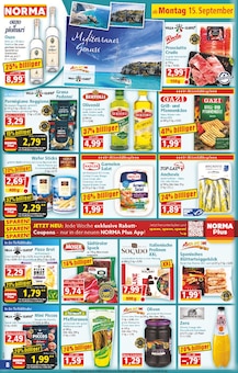 Wärmepflaster Angebot im aktuellen Norma Prospekt auf Seite 8
