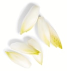 Supermarchés Match Uhlwiller - Promo Endive Jeune Pousse Promo Endive Jeune Pousse à 2,49 € dans le catalogue Supermarchés Match à Uhlwiller