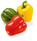 Paprika-Mix im Angebot bei Netto Marken-Discount in Unna Paprika-Mix Angebote bei Netto Marken-Discount Unna für 1,49 €