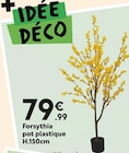 Forsythia dans le catalogue Maxi Bazar