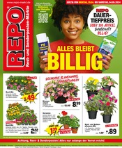 Aktueller Repo Prospekt mit Pflanzen, "Aktuelle Angebote", Seite 1