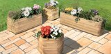 Blumenkasten Toscana Quadratisch Angebote bei Holz Braun Reutlingen für 59,95 €