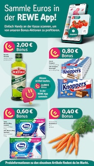 Aktueller REWE Prospekt "Dein Markt" Aktueller REWE Prospekt