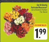 EDEKA - Fairtrade Moosrosen Angebot im Prospekt Fairtrade Moosrosen bei EDEKA im Prospekt "" für 1,99 €