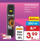 Bodyspray im Angebot bei Netto Marken-Discount in Mülheim Bodyspray Angebote von Axe bei Netto Marken-Discount Mülheim für 3,99 €