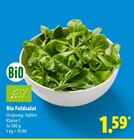 Bio Feldsalat Angebote bei Lidl Ulm für 1,59 €