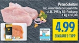 Puten Schnitzel bei diska im Ludwigsstadt Prospekt für 4,99 €