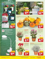 Lampe im Netto Marken-Discount Prospekt in Fürth Aktueller Netto Marken-Discount Prospekt mit Lampe, "Aktuelle Angebote", Seite 39