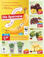 Salat im Netto Marken-Discount Prospekt in Pforzheim Aktueller Netto Marken-Discount Prospekt mit Salat, "Aktuelle Angebote", Seite 14