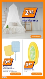 Aktueller Action Prospekt mit Deko, "kleine Preise, grosse Freude!", Seite 10