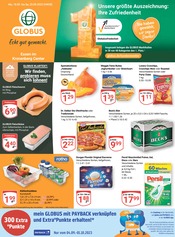 GLOBUS Supermarkt Prospekt der aktuellen Woche mit 33 Seiten, gültig von 18.09.2023 bis 23.09.2023, in Essen und Umgebung Aktueller GLOBUS Supermarkt Prospekt in Essen und Umgebung, "Aktuelle Angebote" mit 33 Seiten, 18.09.2023 - 23.09.2023