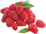Himbeeren im REWE Prospekt Himbeeren von REWE Beste Wahl im aktuellen REWE Prospekt für 1,99 €