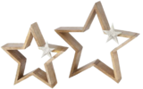 Deko-Stern Arbusta bei Möbel Martin im Prospekt  für 9,99 €