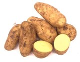 Speisekartoffeln roterdig im Angebot bei REWE in Soest Speisekartoffeln roterdig Angebote bei REWE Soest für 1,99 €