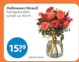 V-Markt Lechbruck (See) Prospekt mit  im Angebot für 15,99 €