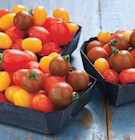 Tomate Cerise Melangée - Intermarché à Aulnay-sous-Bois Tomate Cerise Melangée en promo chez Intermarché Aulnay-sous-Bois à 1,99 €