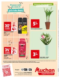 Offre Plante En Pot dans le catalogue Auchan Supermarché du moment à la page 8