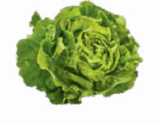 Kopfsalat von HEIMAT für 1,11 € bei Netto Marken-Discount im Angebot Kopfsalat von HEIMAT im aktuellen Netto Marken-Discount Prospekt