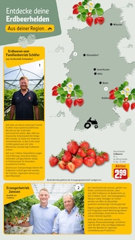 Erdbeeren im REWE Prospekt "Dein Markt" mit 22 Seiten (Bochum)