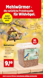 Tierfutter Angebot im aktuellen Thomas Philipps Prospekt auf Seite 4