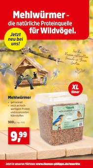 Blumenerde Angebot im aktuellen Thomas Philipps Prospekt auf Seite 4