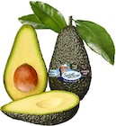 Avocado im Angebot bei REWE in Mannheim Avocado Angebote von essreif bei REWE Mannheim für 2,49 €