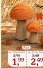 Pilz im Angebot bei Garten-Center Nordharz GmbH & Co. KG in Kassel Pilz Angebote bei Garten-Center Nordharz GmbH & Co. KG Kassel für 1,99 €