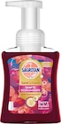 Schaumhandseife Berry Rebel von Sagrotan im aktuellen dm-drogerie markt Prospekt