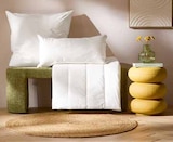 Aktuelle Kissen Angebote bei XXXLutz in Hannover Aktuelles Ganzjahresbett Angebot bei XXXLutz in Hannover ab 24,99 €